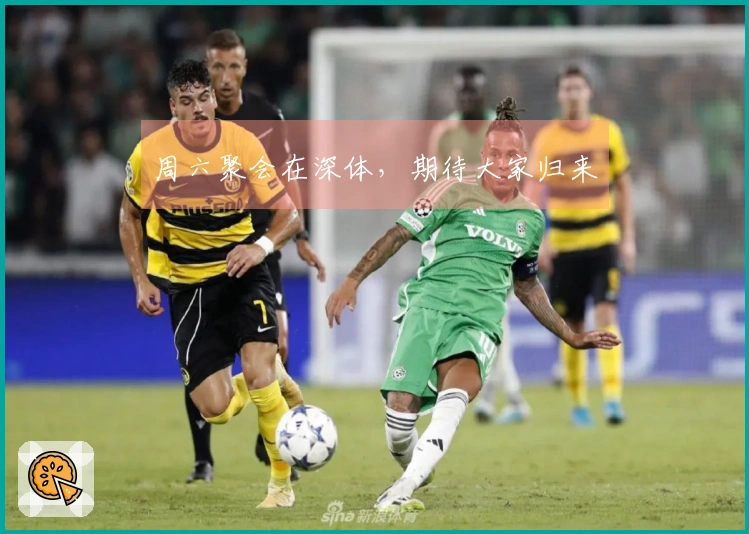 周六聚会在深体，期待大家归来